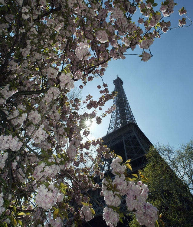Where could be more romantic than Paris for Valentine's Day?