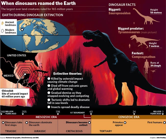 Scientists say dinosaurs were already disappearing before giant