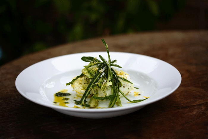 Divide the mozzarella among six plates and arrange the puntarelle salad alongside it © Lisa Barber