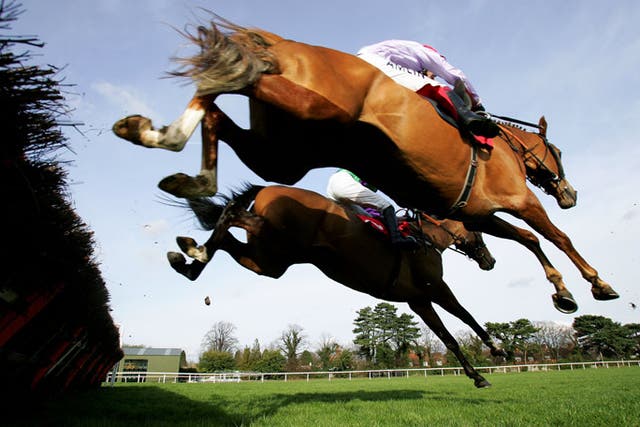 Chance Du Roy and eventual runner-up Bormo take a flight in the opening juvenile hurdle at Sandown