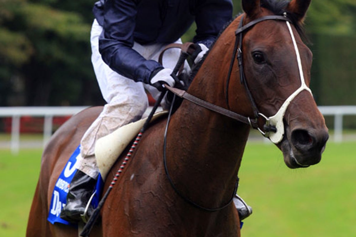 Lessons dictate that Fallon's talents face a tough test in transition ...
