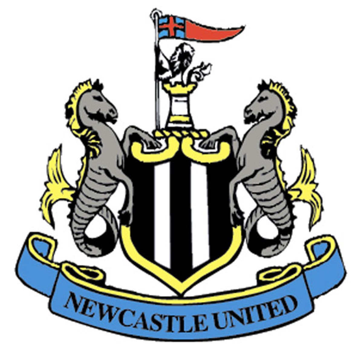 Newcastle United January transfers | The Independent | The Independent