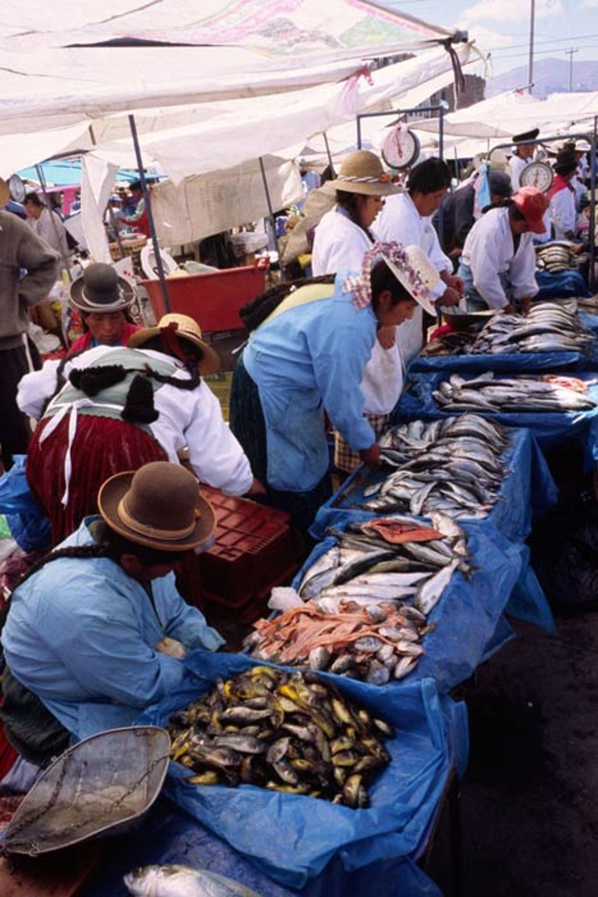 Ancient recipes and indigenous ingredients | The Independent | The