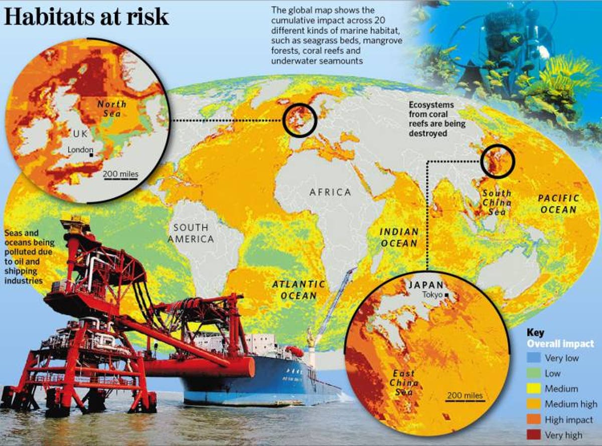 Revealed: polluting impact of humans on the oceans | The Independent | The  Independent