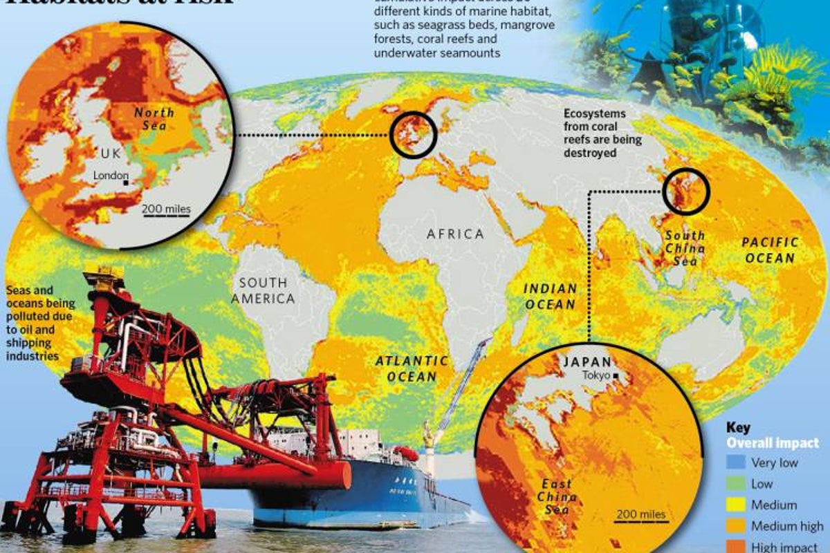 Revealed: polluting impact of humans on the oceans | The Independent ...