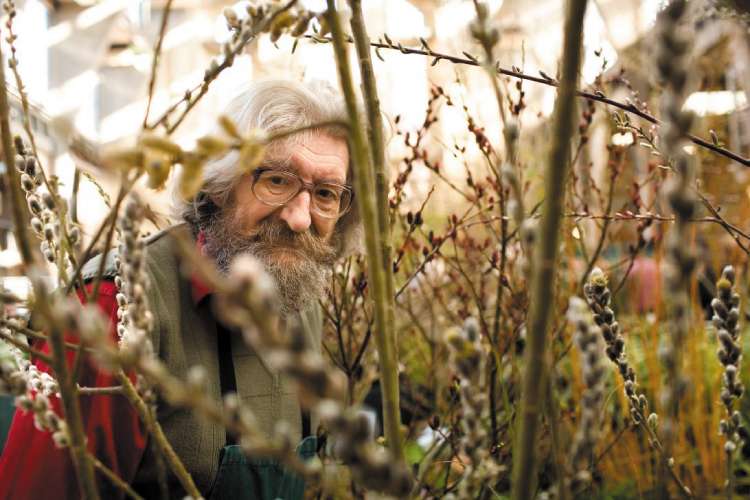 Trevor Wood with a small selection of his willows at this month's RHS London Flower Show © Dominick Tyler