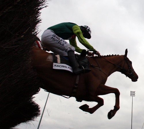Ruby Walsh and Gungadu clear the last fence before landing the Racing Post Chase