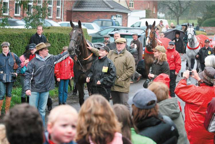 Trainer Paul Nicholls (flat cap) leads Gold Cup winner Denman on a victory parade. Runner-up Kauto Star and Neptune Collonges (right) bring up the rear