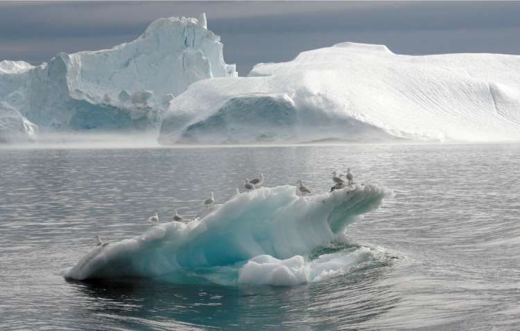 UNEP warned that further ice loss could have dramatic consequences, particularly in India
