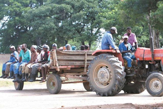 Farm workers in Karoi, 120 miles west of Harare, are driven away after threats from militia groups