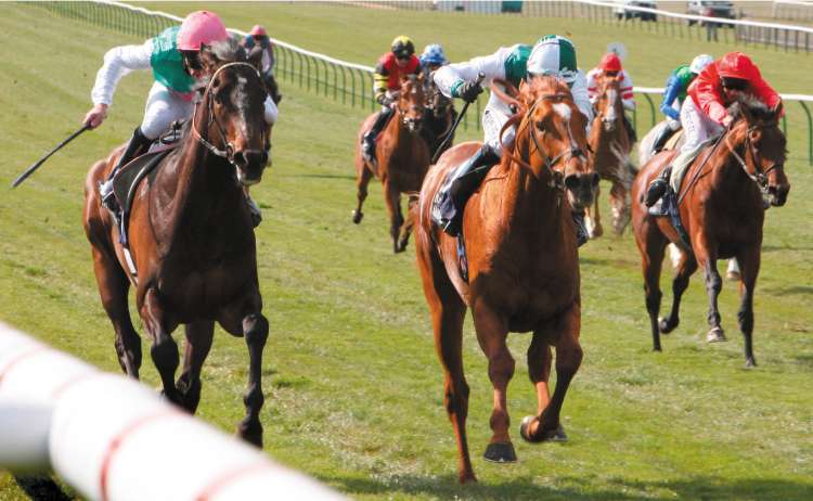 Twice Over (left) holds Raven's Pass to win the Craven Stakes at Newmarket