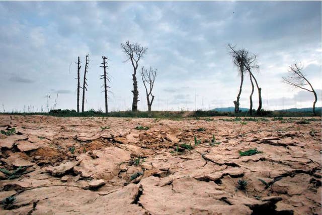 Two thirds of the world population face water shortages at least one month of the year and half a billion all year round