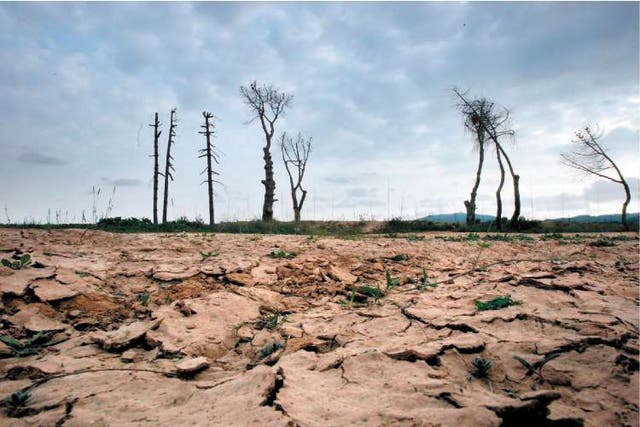 Two thirds of the world population face water shortages at least one month of the year and half a billion all year round