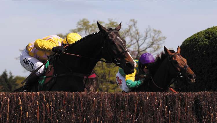 Monkerhostin (left), ridden by Richard Johnson, goes on to beat Royal Auclair (right) to win the Bet365 Gold Cup