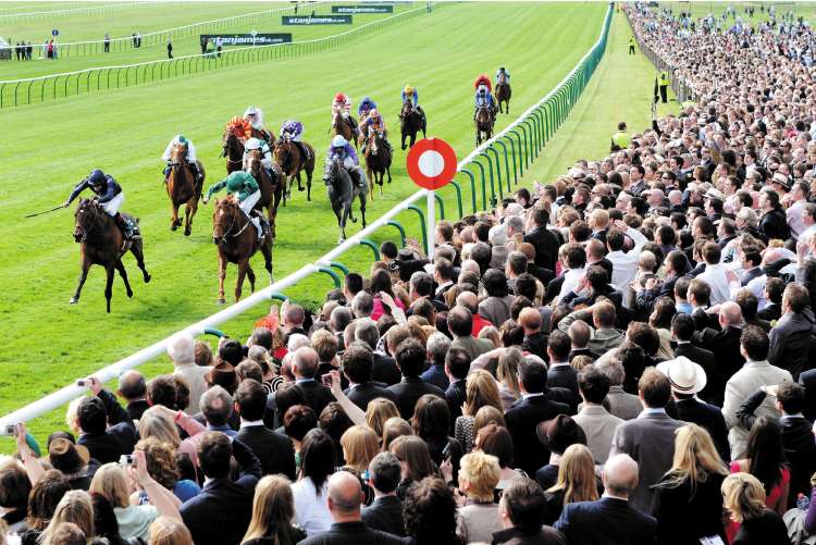 Henrythenavigator (left) gets up inside the final half-furlong to stun favourite New Approach and win the 2,000 Guineas