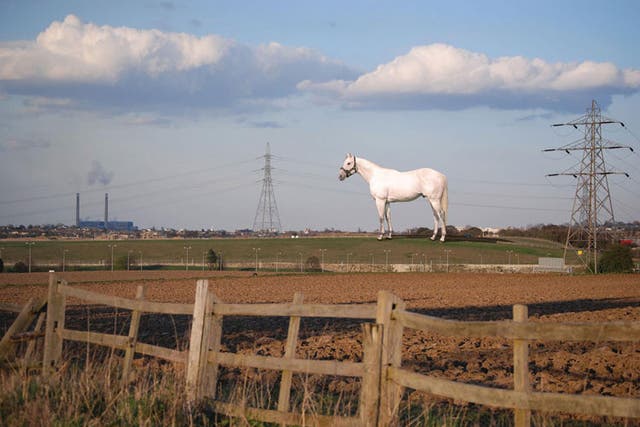 An artist's impression of The Horse by Mark Wallinger