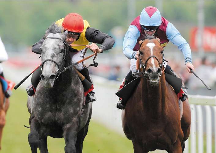 Shane Kelly (left) cajoles Geordieland to victory over Royal And Regal at York