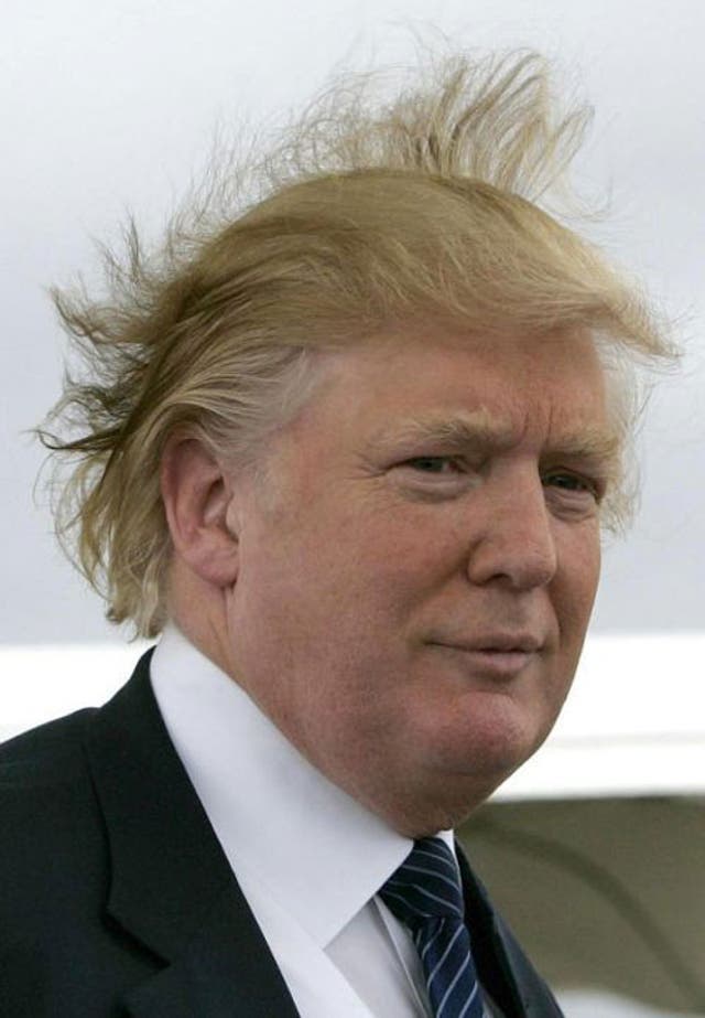 Swept away: tycoon Donald Trump, visiting the Isle of Lewis this week, loses whatever hairstyle he had to the Scottish winds