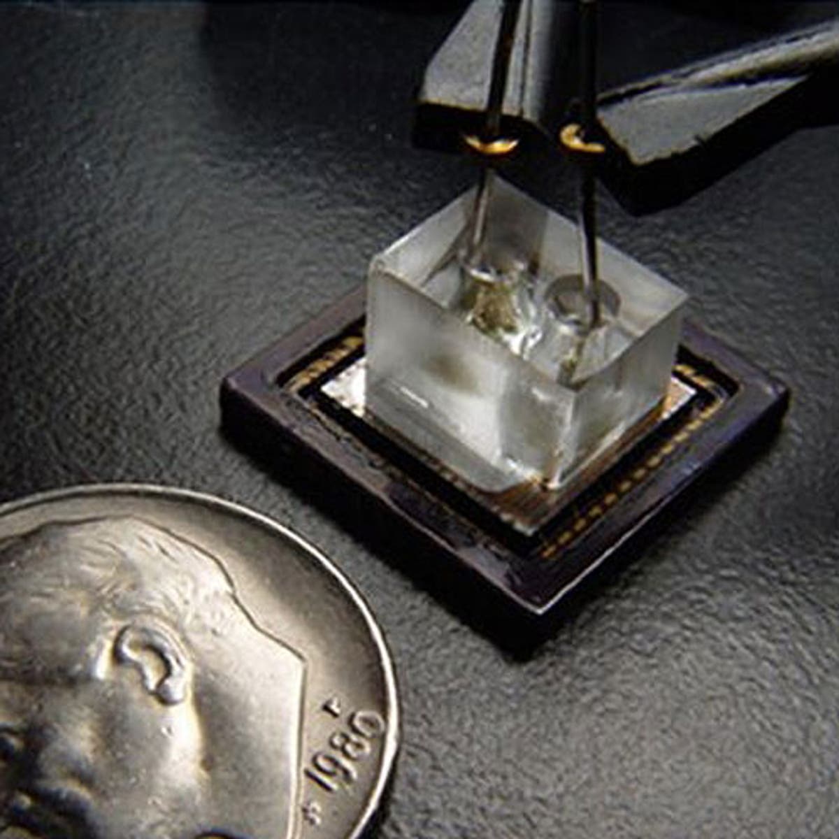 The tiny microscope that needs no lens | The Independent | The Independent