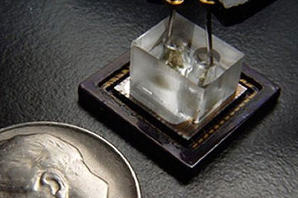 The tiny microscope that needs no lens | The Independent | The Independent