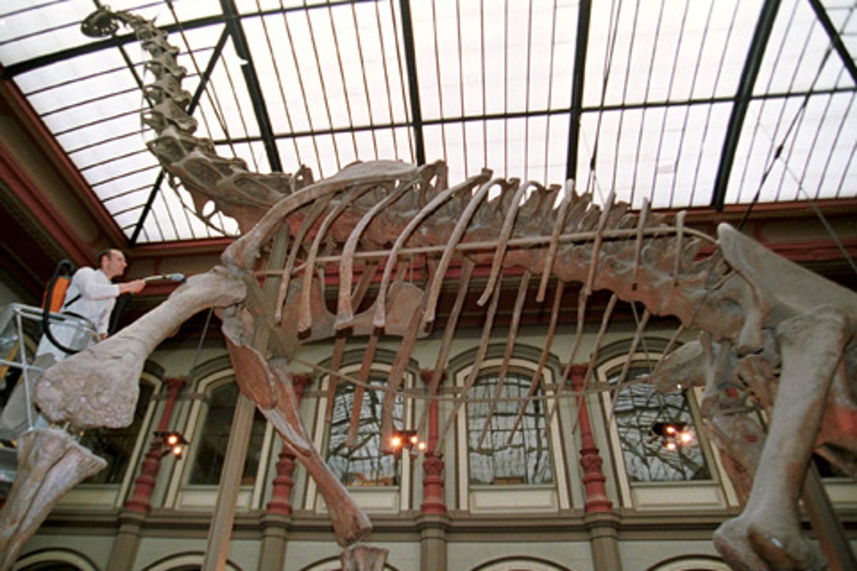 Experts discover baby long-necked dinosaurs were ‘perfect snack’ for predators – UK Times