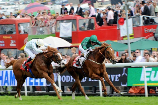 Derby winner New Approach (right) has replaced Duke Of Marmalade as favourite at Co Dublin