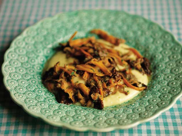 Spoon the whipped potato in a thin layer on each warm plate and scatter the chanterelles over the top