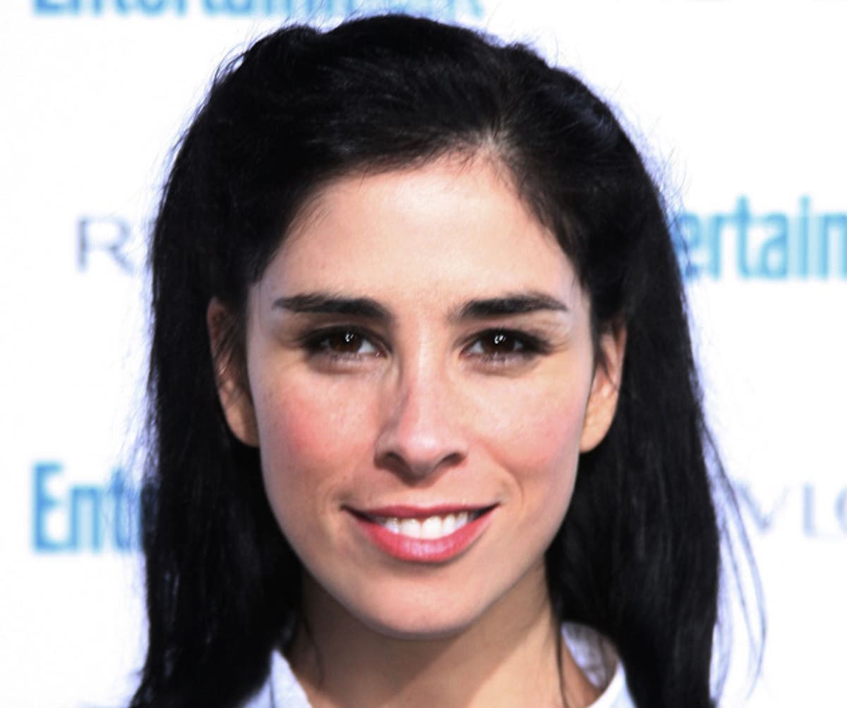 Sarah Silverman talks about her departure from comedy in gritty new drama I  Smile Back | The Independent | The Independent