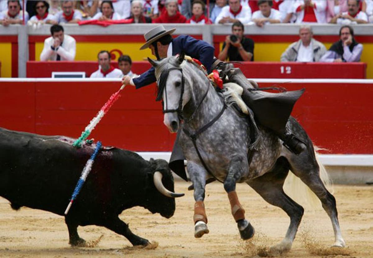 Bullfighters 'hired Colombian assassins to kill rivals' horses' | The ...