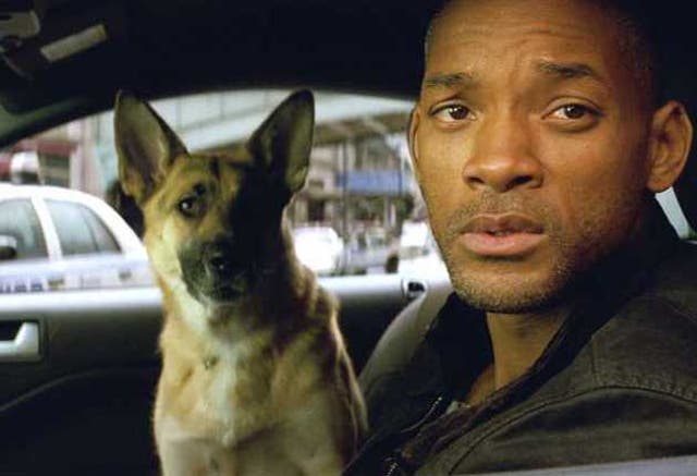 <p>Will Smith in 'I Am Legend'</p>