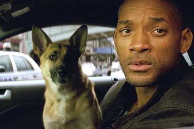 With Will Smith in 'I Am Legend'