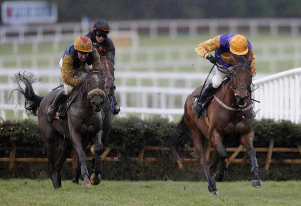 Brave Inca regains title as iron horse of Ireland | The Independent ...