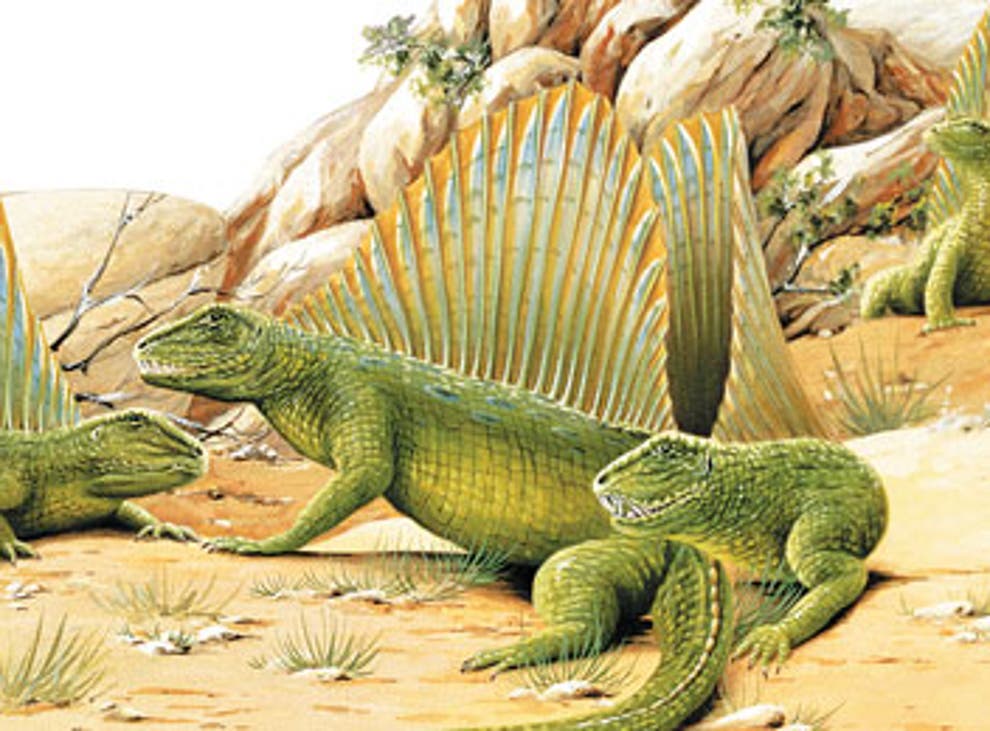 Amphibians and reptiles: how terrestrial living was transformed by the