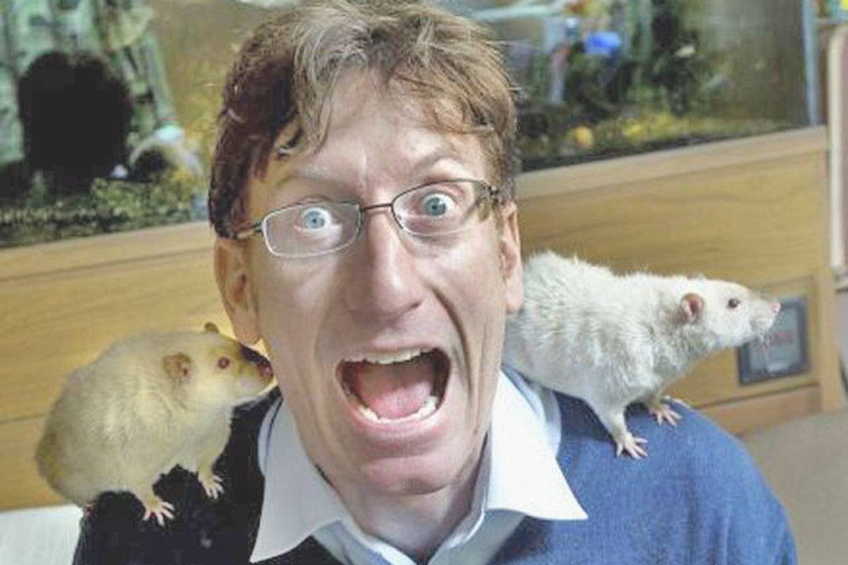 Why we should learn to love rats | The Independent | The Independent