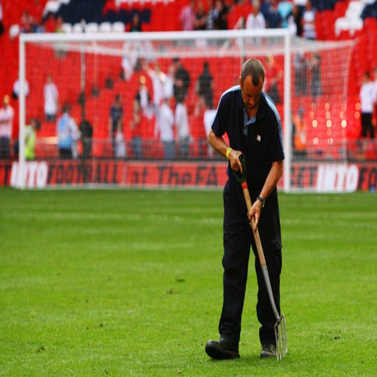 Is Wembley Stadium Turf or Grass?