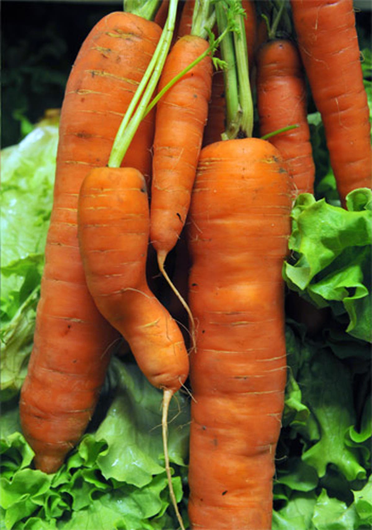 Carrots cooked whole 'better at fighting cancer' The Independent The Independent