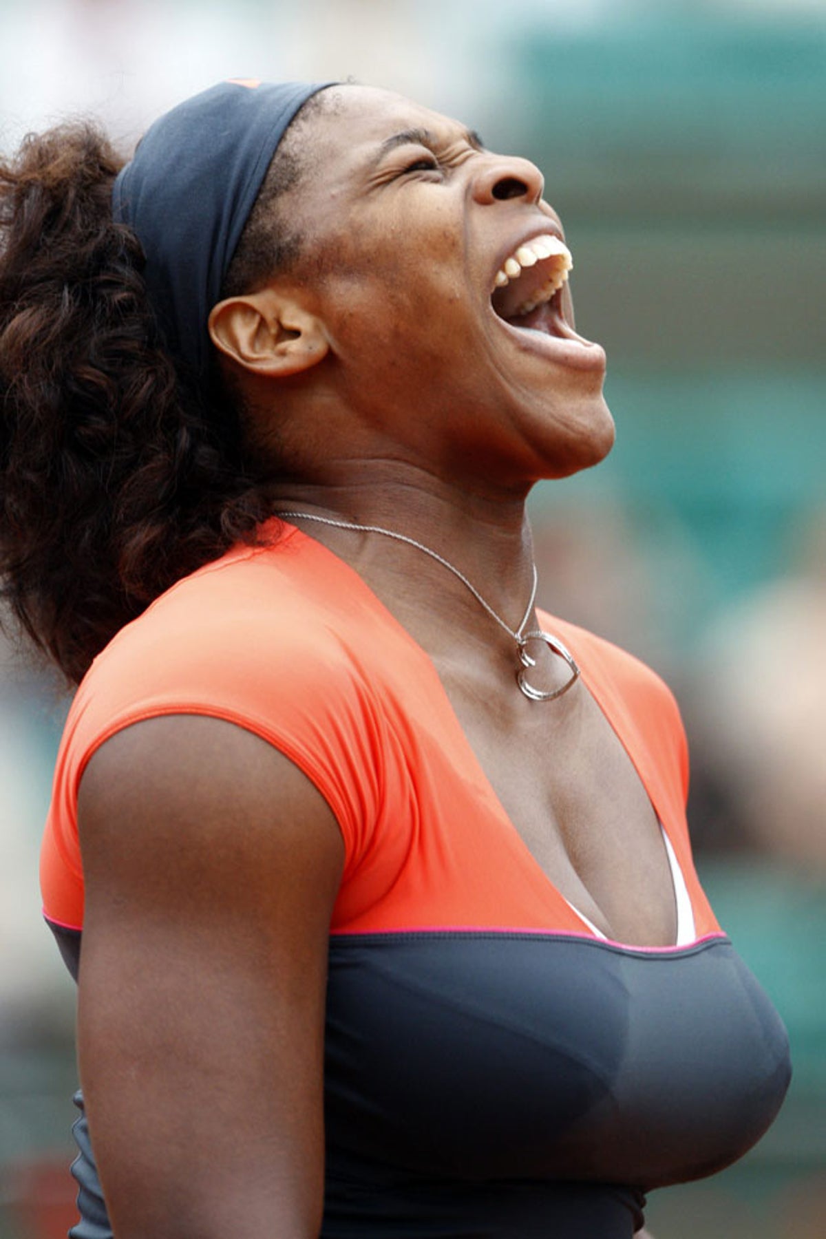 Serena Williams: Shout to the top | The Independent | The Independent