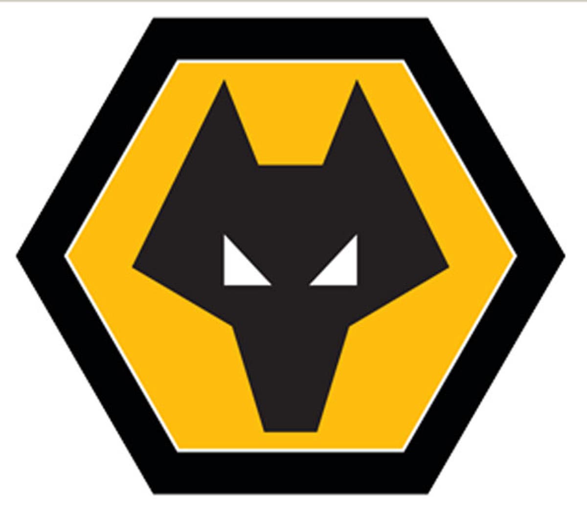 Wolves transfer news and rumours | The Independent | The Independent