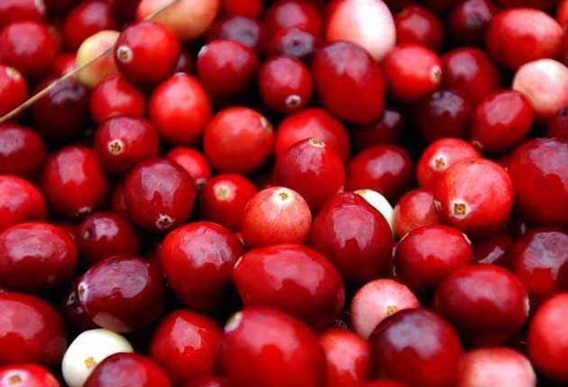 Cranberry juice provides no meaningful protection against cystitis, contrary to the belief of large numbers of women, say scientists