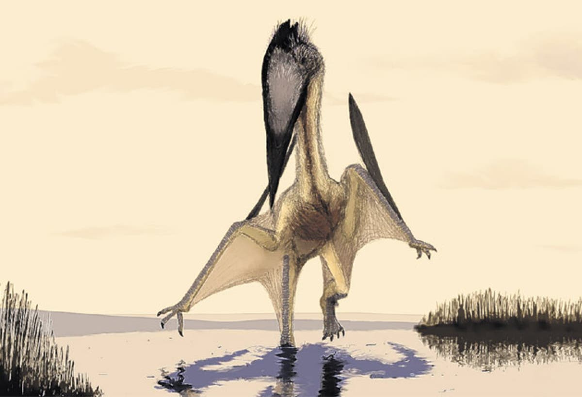 How Pterosaurs Filled Their Lungs