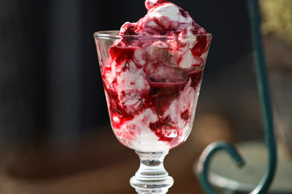 Damson fool | The Independent | The Independent