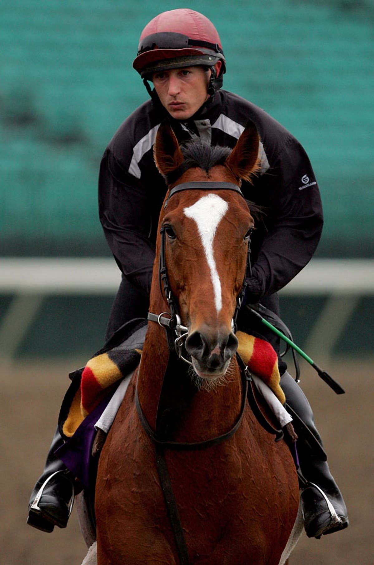 George's filly steals yearling show | The Independent | The Independent