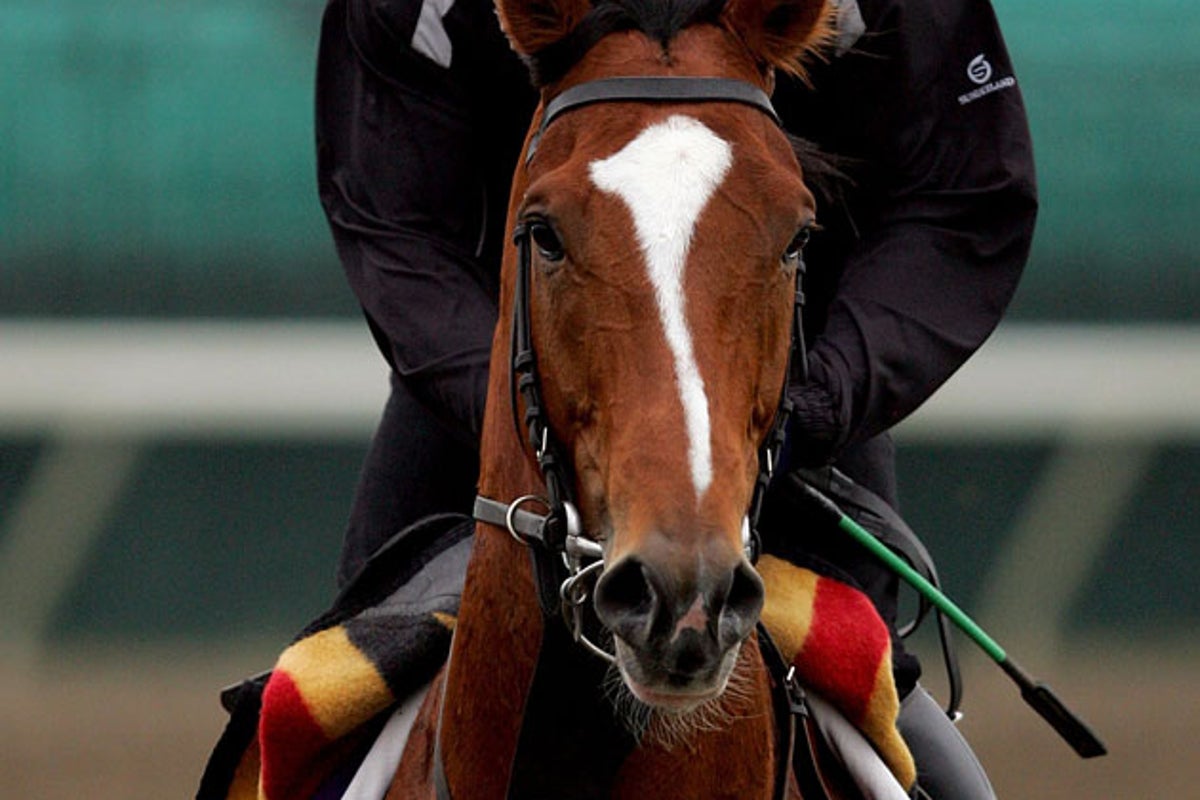George's filly steals yearling show | The Independent | The Independent