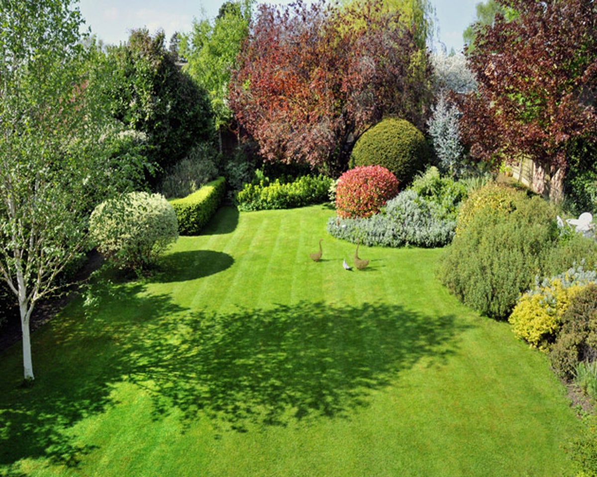 Border Lines Planning A New Garden, How To Dig A Garden Border Uk