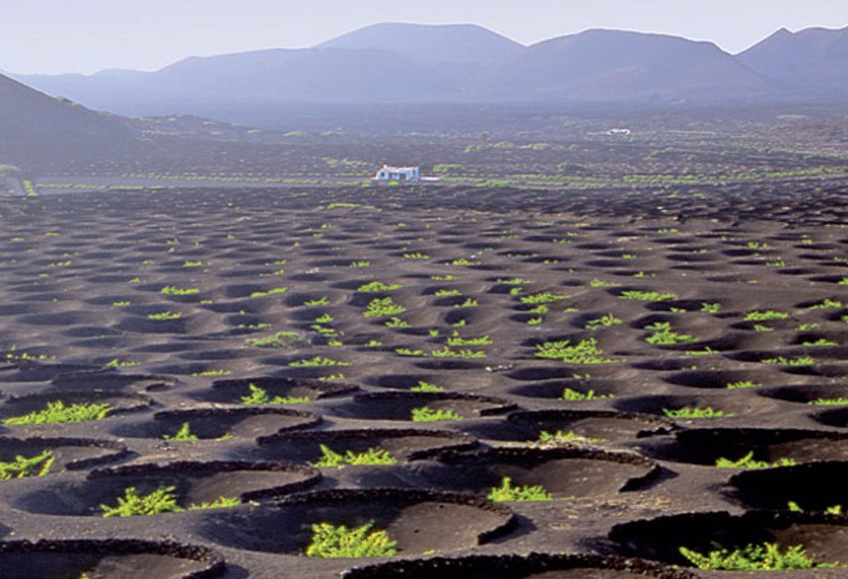 https://static.independent.co.uk/s3fs-public/thumbnails/image/2009/11/18/17/lanzarote.jpeg?width=1200