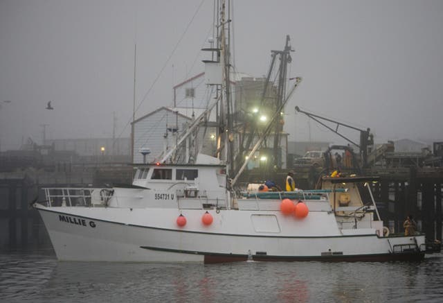 What's The Catch? Is Albacore Tuna truly sustainable? | The Independent | The Independent