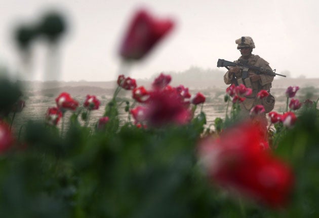 A two-month operation to clear poppy fields in Helmand has begun