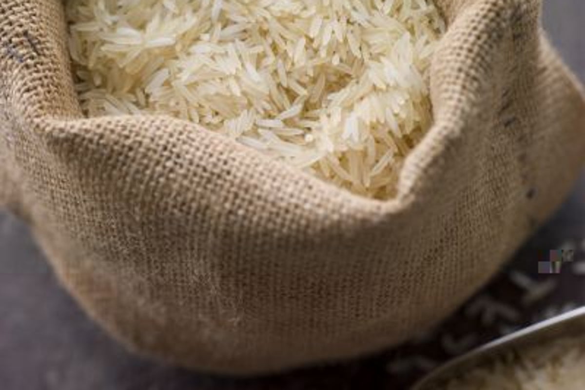 Eat local? Senegalese say no thanks | The Independent | The Independent