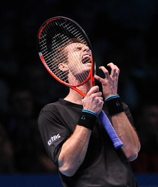Andy Murray enjoyed a fine year, winning six titles and briefly reaching No 2 in the rankings