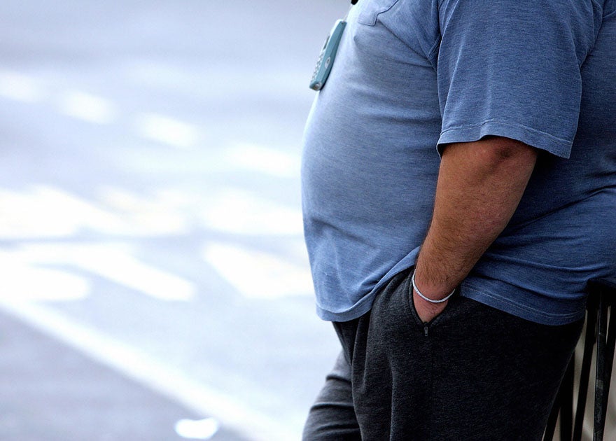 Scientists discover how common white fat can be converted into form of ...